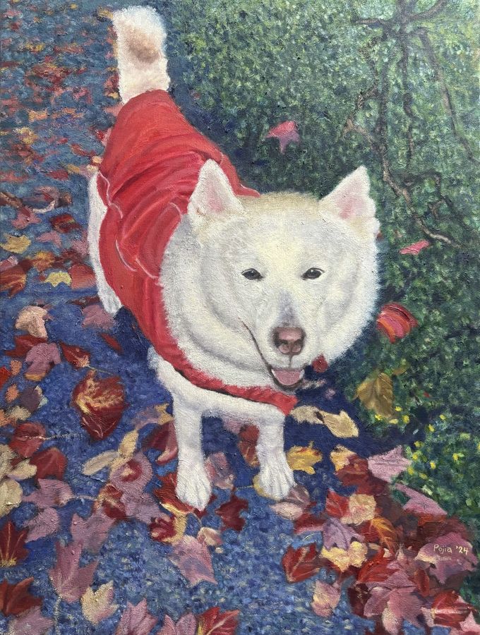 Autumn Leaves — white dog in a red coat among fallen leaves