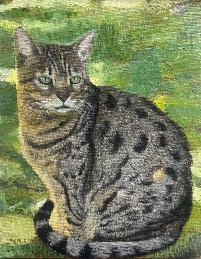 Garden Watch — a grey tabby cat resting in green grass